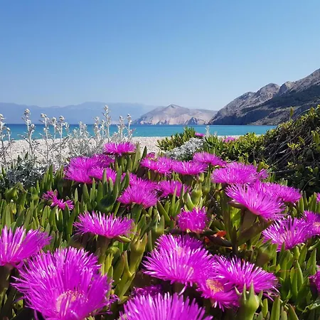 Plese 4* Baška
